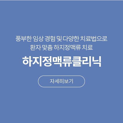 하지정맥류